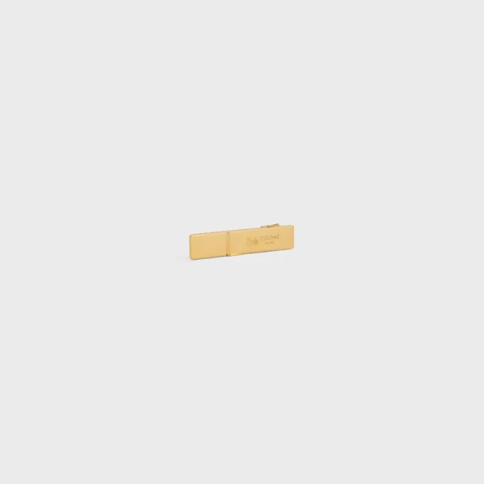 Celine Sulky Hair Clip in Brass with Gold Finish and Steel