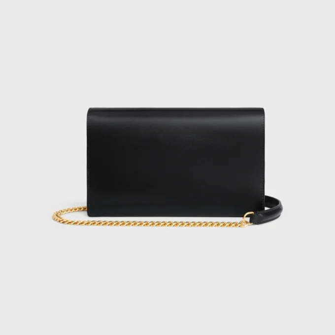 Envelope Wallet on Chain in Shiny Calfskin Envelope Wallet on Chain in Shiny Calfskin